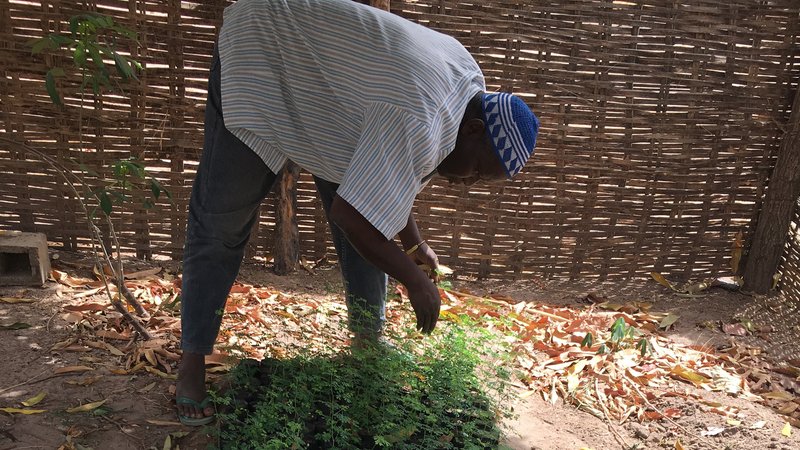 Photo Essay: Dry season seminars with smallholder farmers in Senegal