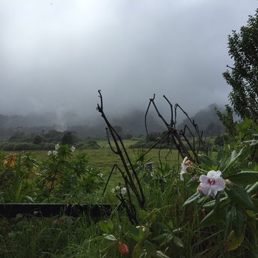 Chiriqui highlands of Panama.