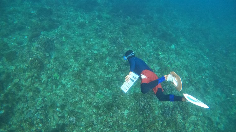 Citizen scientists at work in the Philippines.