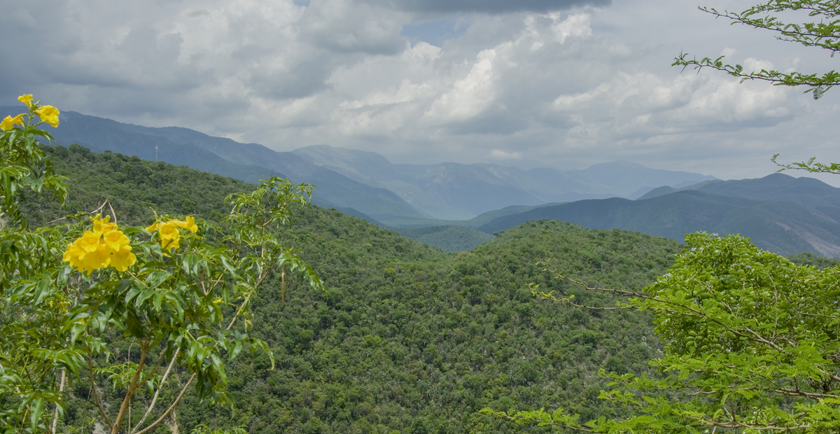 Hurricane season florida 2021 image
