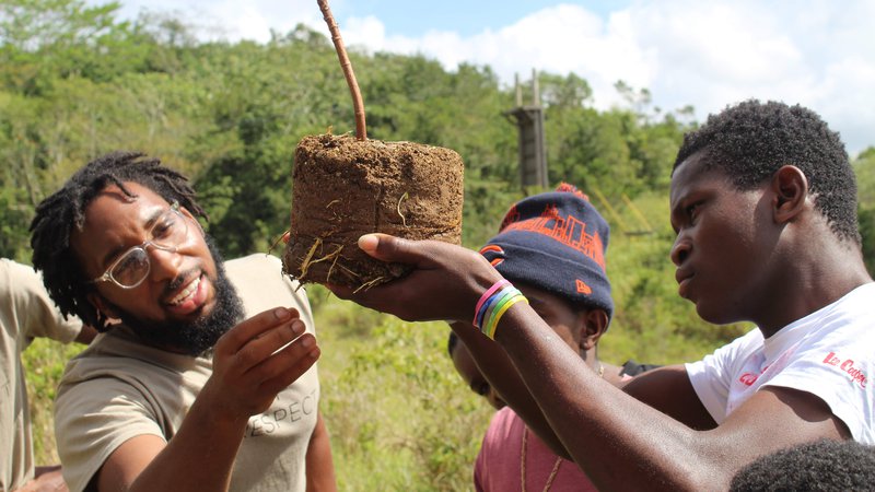 Volunteer examining parts of a potted plant as a Jamaican man holds up the plant.