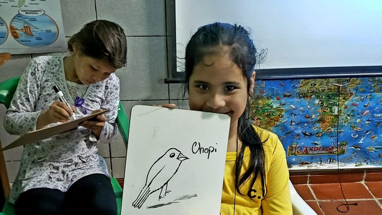 Drawing their favorite species.jpg