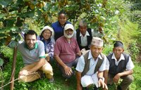 Kiwi Plantation Training