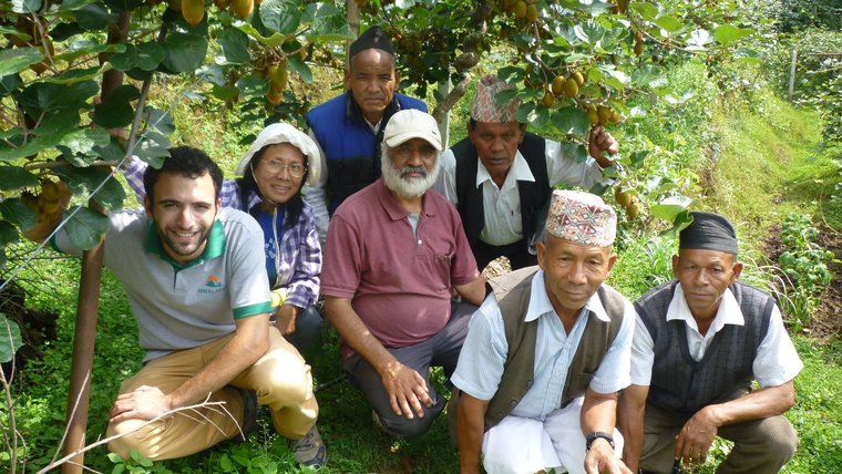 Kiwi Plantation Training