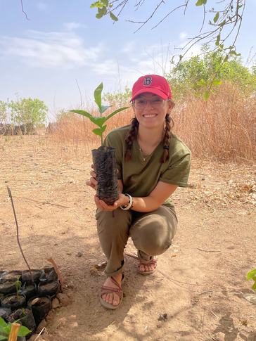 Elizabeth holds a cashew tree sapling from her garden in Senegal.