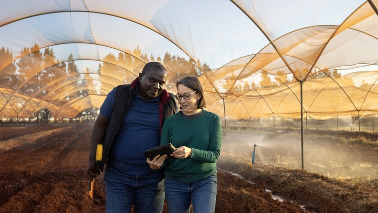 An Agriculture Volunteer in South Africa confers with a counterpart.