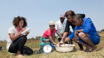 A black Peace Corps Volunteer kneels with a notebook in hand as four community members weigh fish. They are outside.