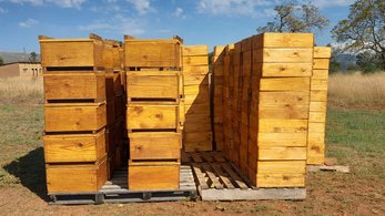 Ethiopia Bee Hives