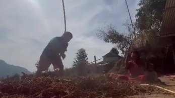 Nepal Volunteer beating the beans out of pods with his host family