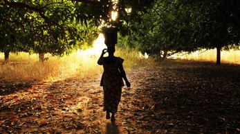 Finding 'teranga' from Senegal to Paris