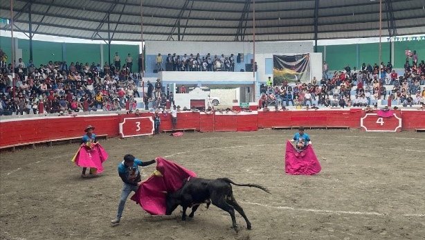 Olivia attended her first rodeo, a popular activity in rural Ecuador.