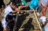 People fixing a wooden square