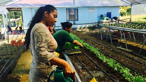 With the help of the Canadian Embassy and Agenda Verde, we helped our local women's organization, ADATA, build a hydroponic g