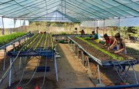 Why I left a job I loved for the Peace Corps