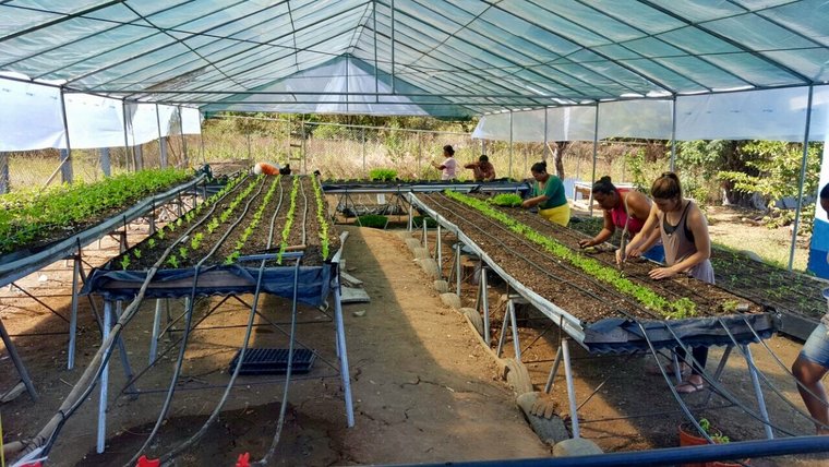 Why I left a job I loved for the Peace Corps