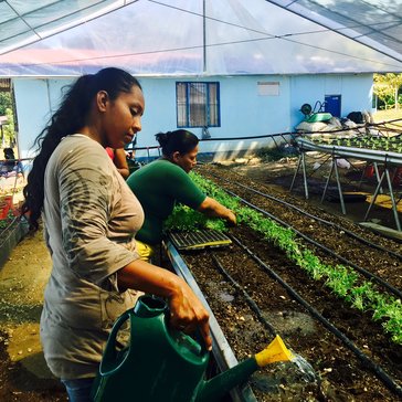 With the help of the Canadian Embassy and Agenda Verde, we helped our local women's organization, ADATA, build a hydroponic g