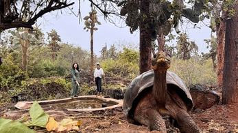 Response Volunteer Lauren Serving in the Galapagos