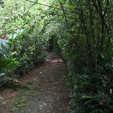 Garden, Costa Rica