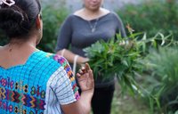 A woman in a brightly colored shirt talks to a woman holding greenery
