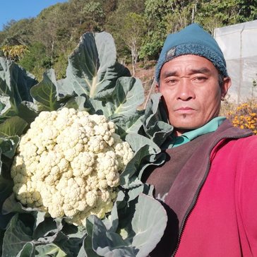 A Nepalese farmer poses with a large cabbage he grew