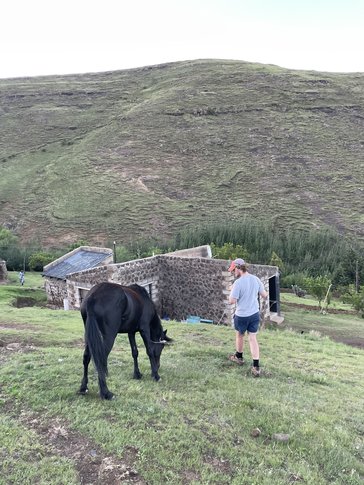 Horse leading