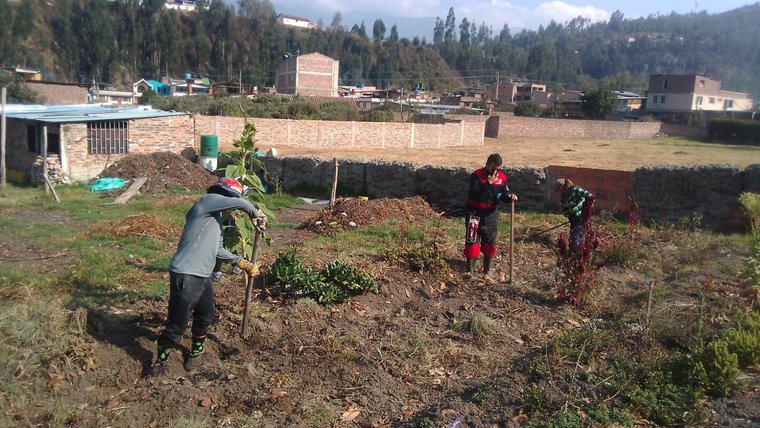 Volunteer Kevin supports a community orchard in Colombia.