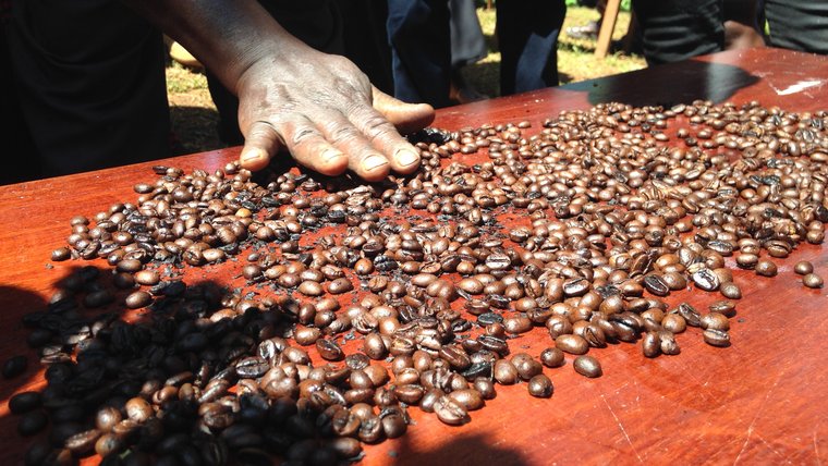 Coffee beans.jpg