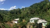 Landscape of Buff Bay Valley