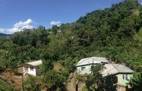 Landscape of Buff Bay Valley
