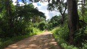 The road to my village in Sierra Leone