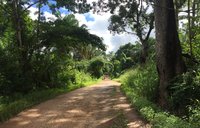 The road to my village in Sierra Leone