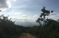 Mountains