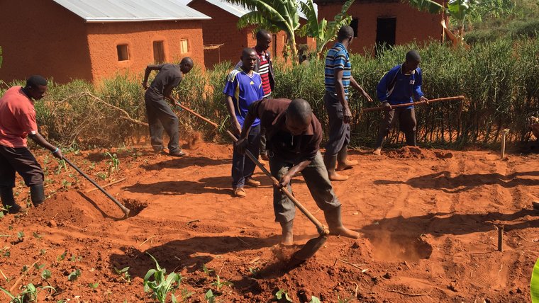 Locking up food security with permaculture