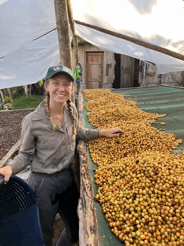Hannah's host family grows and processes coffee in Panama.