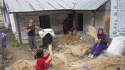 Mushroom Project in Nepal