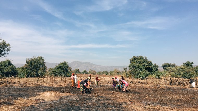 team working in Guinea