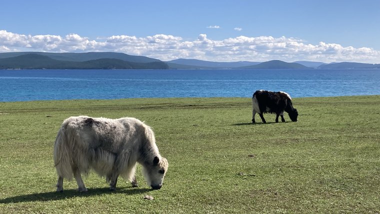 Nature's Door hosts tourists who visit scenic Lake Khuvsgul in Mongolia.