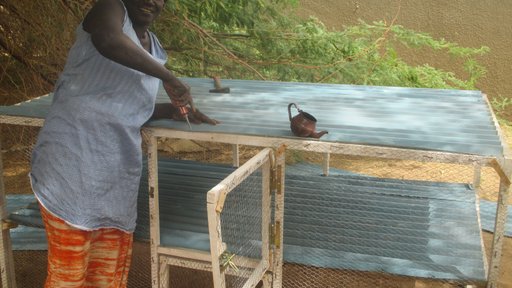 Senegal Woman Building Coop