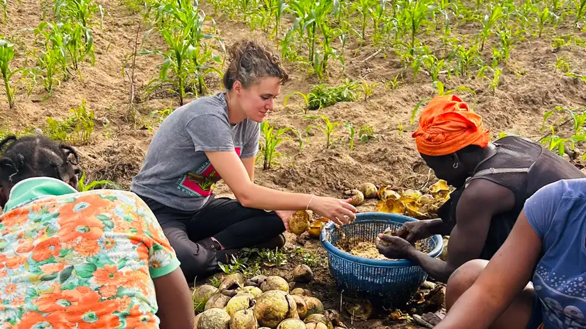 Kelcey harvests sesame with women in Togo.