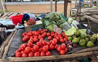 A produce vendor's stall at the village market in Kenya.