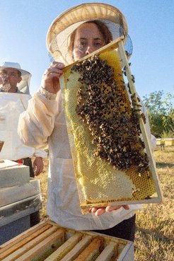 A women dressed in a beekeeper suit holds up a beehive frame swarming with bees