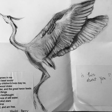 A letter from Cate to Kelsi.