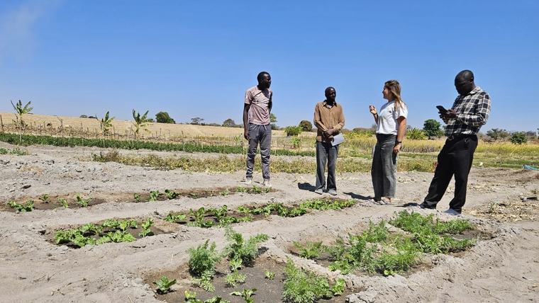 Lydia discusses farm techniques with her counterparts Clay, Jones and Maxwell in Zambia.