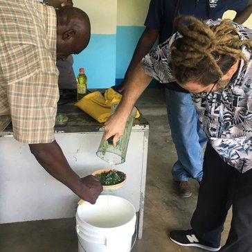 Making botanical pesticides fungicides in Jamaica