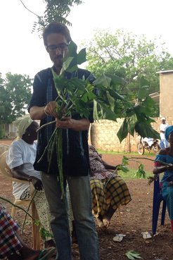 A male Peace Corps Volunteer holds up a leafy green plant to show his Senegalese friends.