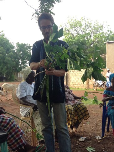 A male Peace Corps Volunteer holds up a leafy green plant to show his Senegalese friends.