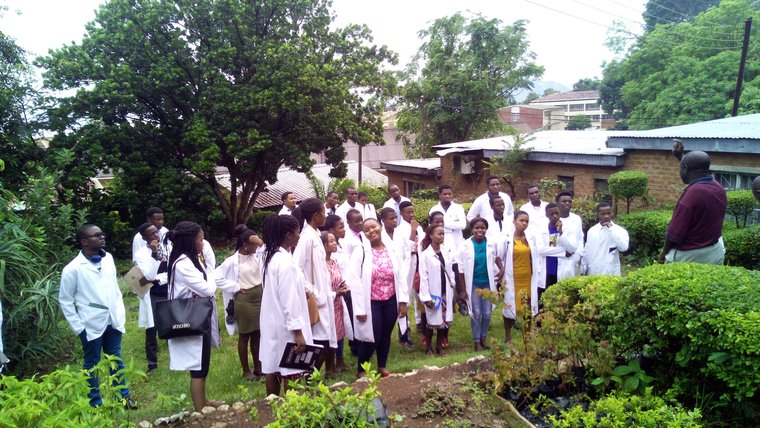 Group of students in medicinal garden
