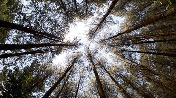 Life After Peace Corps FAQs