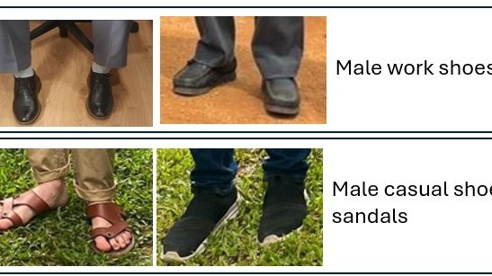 Male work and casual shoes
