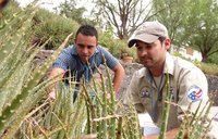 Two men crouch down to take a look at some vegetation.